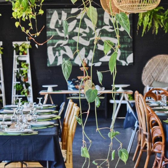 island collective yamba