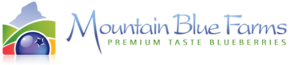 mountain blue logo